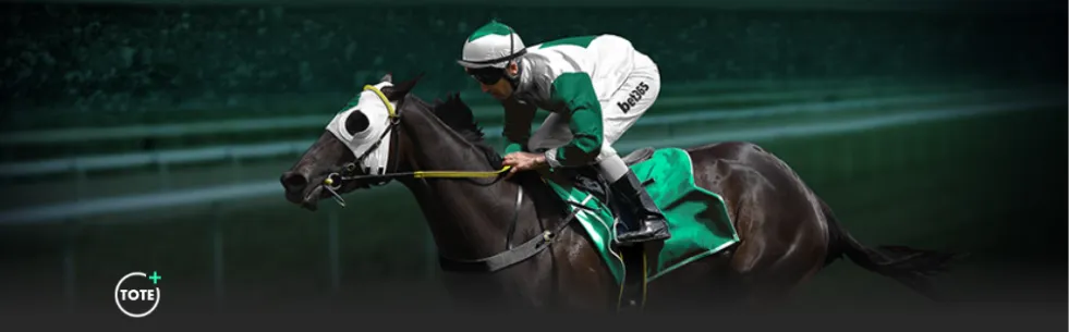 达洛特展望,穆帅葡萄牙,执教前景,世界杯外围,2026世界杯,赛事投注,赔率分析,比赛预测