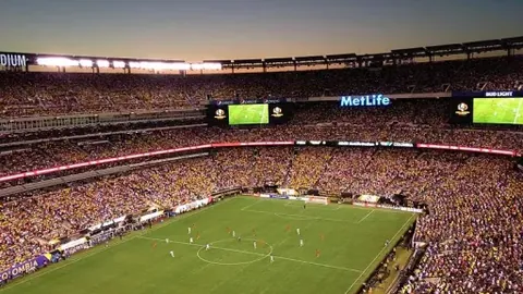 努涅斯公开致歉：承认场上不当举动引发争议