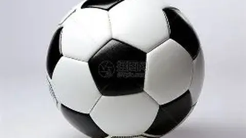 庆阳迎埃及留学生阿雅：穿越“时光隧道”，体验古韵之旅